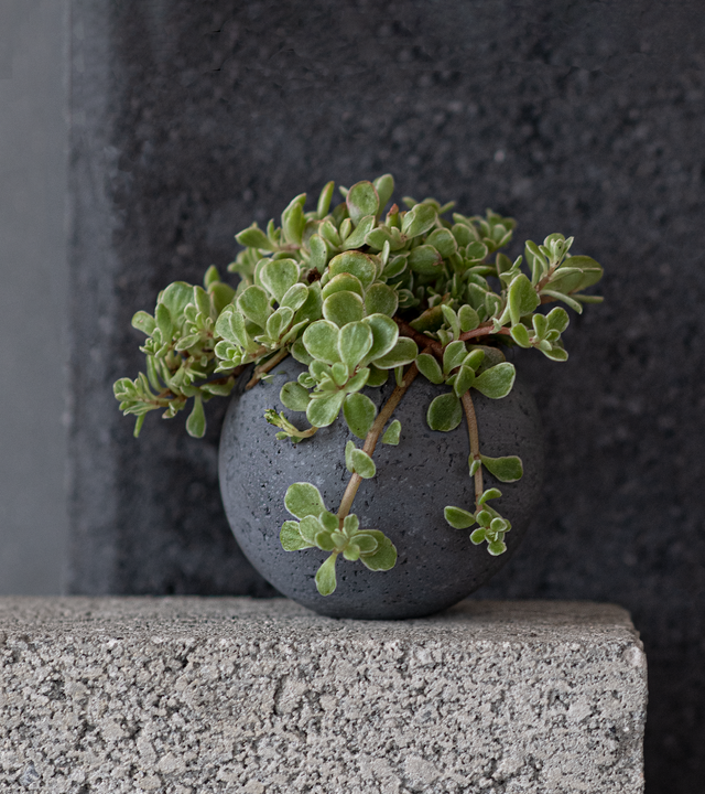 M - Orbis Concrete Vessel - Charcoal