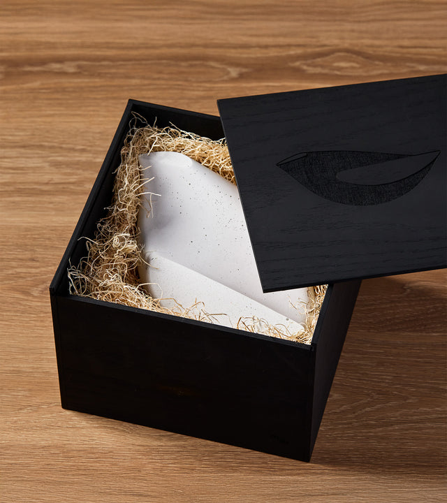 Looking into custom black box with white Oiseau (Mere) nested in protective wood shavings.