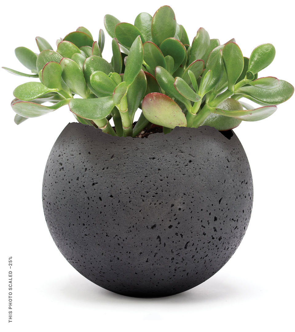Charcoal vessel sphere with planted jade.